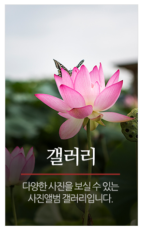 수연당_메인중간_갤러리